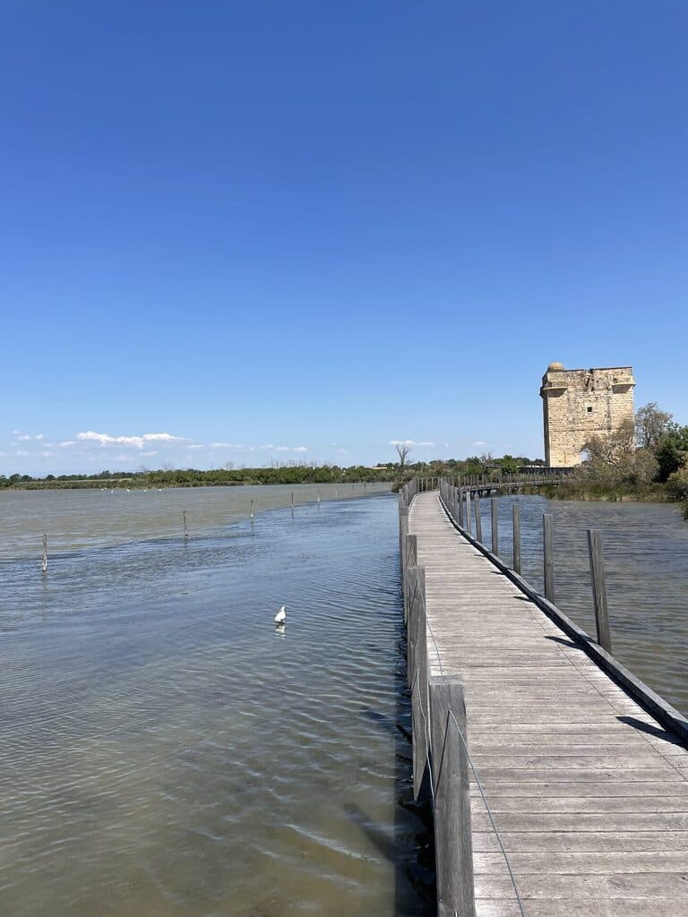 tour carbonniere 2